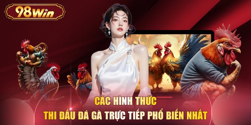 Các hình thức thi đấu đá gà trực tiếp phổ biến nhất