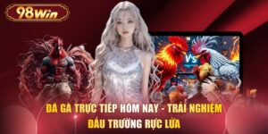 Đá Gà Trực Tiếp Hôm Nay - Trải Nghiệm Đấu Trường Rực Lửa 
