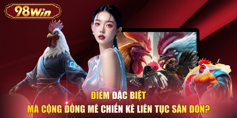 Điểm đặc biệt mà cộng đồng mê chiến kê liên tục săn đón?