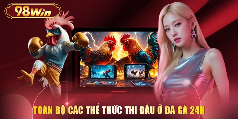 Toàn bộ các thể thức thi đấu ở đá gà 24H