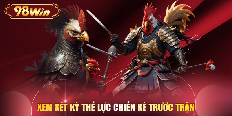 Xem xét kỹ thể lực chiến kê trước trận